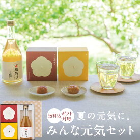 お中元、ギフトに。【ギフトセット】【送料込】みんな元気セット梅干し 梅干 梅ジュース 漬物 石神邑 紀州 南高梅 お歳暮 ギフト プレゼント お取り寄せ 内祝 引出物 弔事 法要 香典返し お返し 子供 プチギフト 個包装 小分け おしゃれ かわいい