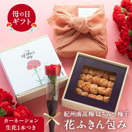 【送料込】母の日限定パッケージ 紀州南高梅 はちみつ梅干400g木箱 花ふきん包みカーネーション生花1本つき