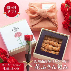【送料込】母の日限定パッケージ 紀州南高梅 はちみつ梅干400g木箱 花ふきん包みカーネーション生花1本つき