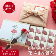 母の日限定パッケージ 【送料込】紀州南高梅個包装12粒入 花ふきん包みカーネーション生花1本つき
