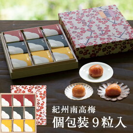 お中元、ギフトに。 【紀州南高梅】9粒入個包装 木箱 梅干し 梅干 漬物 石神邑 紀州 南高梅 お歳暮 お中元 敬老の日 ギフト プレゼント お取り寄せ 内祝 引出物 弔事 法要 香典返し お返し 個包装
