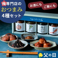 【2026年 新登場 】【父の日】梅専門店のおつまみセット 石神邑 おつまみ ご飯のおとも 梅干し　ひじき …