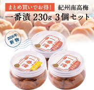 【初物】紀州南高梅 一番漬家庭用ペット容器3個セット新物 初モノ 梅干し 梅干 石神邑 南高梅 お歳暮　お…