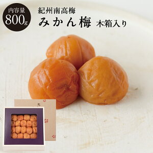IB썂~݂~[5] ؔ800g~ ~ ΐ_W ΐ_ 썂~ Ε Mtg v[g  j o  @v Ԃ