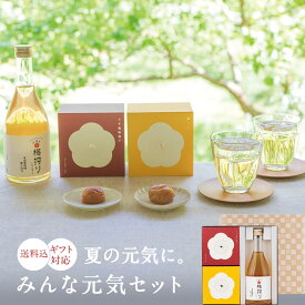 お中元、ギフトに。【ギフトセット】【送料込】みんな元気セット梅干し 梅干 梅ジュース 漬物 石神邑 紀州 南高梅 お歳暮 ギフト プレゼント お取り寄せ 内祝 引出物 弔事 法要 香典返し お返し 子供 プチギフト 個包装 小分け おしゃれ かわいい