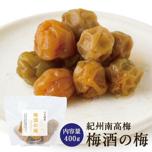 ~̔~ 400g~Hi Е ΐ_W IB 썂~  ܂