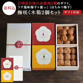 お中元、ギフトに。 【ギフトセット】梅咲く木箱2個セットうす塩味梅干×はちみつ梅干水引き「梅結び」ラッピング梅干し 梅干 漬物 石神邑 紀州 南高梅 お歳暮 ギフト プレゼント お取り寄せ 内祝 引出物 弔事 法要 香典返し お返し