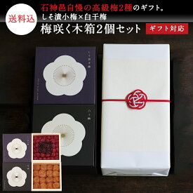 お歳暮、ギフトに。 【ギフトセット】梅咲く木箱2個セット（しそ漬小梅×白干梅）水引き「梅結び」ラッピング梅干し 梅干 漬物 石神邑 紀州 南高梅 お歳暮 ギフト プレゼント お取り寄せ 内祝 引出物 弔事 法要 香典返し お返し