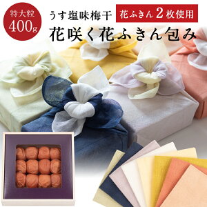 ΕAMtgɁByzԍ炭ԂӂZbg ~ 嗱 [8]@ؔ 400g ~ ~ Е ΐ_W IB 썂~ Ε lߍ킹 v[g  j o 