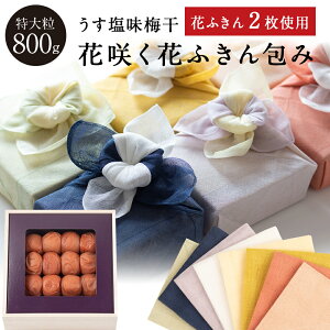 ΕAMtgɁB yzԍ炭ԂӂZbg ~ 嗱 [8]@ؔ800g ~ ~ Е ΐ_W IB 썂~ Ε lߍ킹 v[g  j o 
