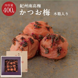 IB썂~ ~[8] ؔ 400g~ ~ ~ Е ΐ_W IB 썂~  Ε Mtg v[g  j o  @v TԂ Ԃ