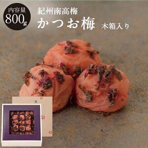 IB썂~~ [8] ؔ800g~ ~ ΐ_W ΐ_ 썂~ Ε Mtg v[g  j o  @v Ԃ ~
