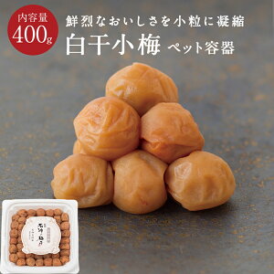 ~ ybge 400g~ ~ ΐ_W ΐ_ 썂~ Ε Mtg v[g  j o  @v Ԃ