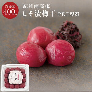 Д~ [13] PETe 400g~ ~ Ђ Е ΐ_W IB 썂~ ٓ ɂ ϔ