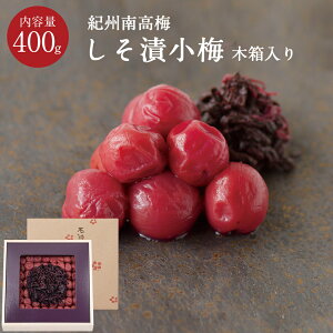 IBa̎R Џ~ [13] ؔ 400g~ ~ ~ Е ΐ_W IB 썂~  Ε Mtg v[g  j o  @v TԂ Ԃ