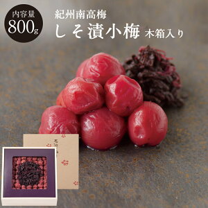 IBa̎R Џ~[13] ؔ 800g~ ~ ~ Е ΐ_W IB 썂~  Ε Mtg v[g  j o  @v TԂ Ԃ