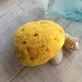 【送料無料】天然海綿 洗顔用 泡立て キメが細かい パフスポンジ （南洋産） 吸収力 肌に優しい 肌荒れ カサつき 乾燥肌 メイクパフ　ファンデーション