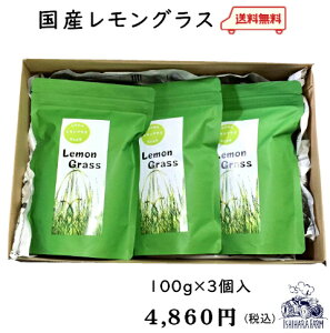 YҒyY!_!zOXeB[[t^Cv100g×3ywhlnyzn[ueB[OX[t^Cv_򖳉w엿YҒYiY}}