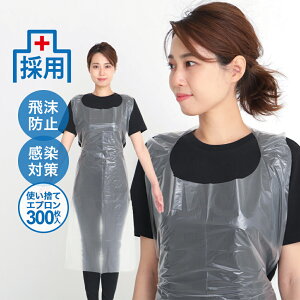 yzĝăGv 300 |G`f ÁE쌻ł̎gpт@hH@h앞@Ɩp@@a@@wZ@H@jp@t[TCY