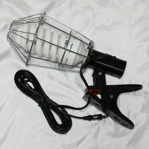 tW}bN@Jv@tXpCu@60W@J-60F@NbvCg