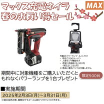 楽天市場】ピンネイラ 充電式の通販