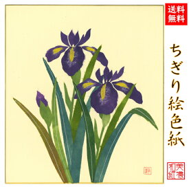 楽天市場 色紙 絵 あやめの通販