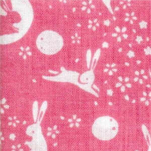 䕿ʂ Pi  No19 { 100 jp ʂ Ăʂ  ӂ N a aG 킢 ^I nJ`  ʎʂ | }XN ޗ M hV 