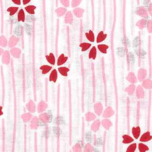 䕿ʂ Pi Ȃ No38 { 100 jp ʂ Ăʂ  ӂ N a aG 킢 ^I nJ`  ʎʂ | }XN ޗ M hV 