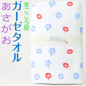 G뉮 K[[^I   Pi { 100 jp K[[ ^I  ӂ @ 炾@ N a aG 킢 | ޗ M hV oY  ei v