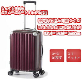 ポリカーボネート100％使用 機内持ち込み可能サイズ 31L 2〜3泊程度の旅行に最適 ファスナータイプ スーツケースベルト　ダブルホイール　TSAロック　ファスナー開閉タイプ　トラベルバック