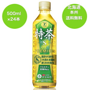 kC@{B@@iE͑ΏۊOjیpHiigNzjTg[@ɉEq@@500ml 1P[X@24{ ybg{g@1P[X24{