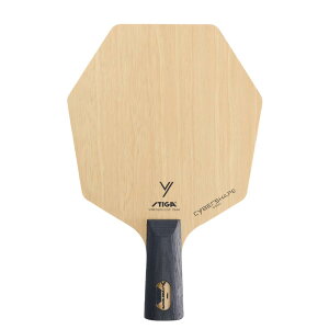 STIGA TCo[VFCvEbh  2023NV XeBK yz_[ 싅Pbg