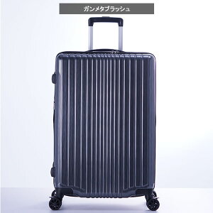 X[cP[X A.L.I AWAQ[W tBpP 5`7 71L  83L g FiL Pake y ALI-6060-24W