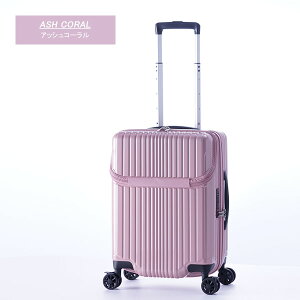 �X�[�c�P�[�X �O�J�� PC���[ A.L.I �A�W�A���Q�[�W �t�B���p�P �g�b�v�I�[�v�� TSA 39L FiL Pake ALI-6060TP-18