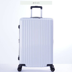 X[cP[X A.L.I AWAQ[W tBpP 5`7 71L  83L g FiL Pake y ALI-6060-24W