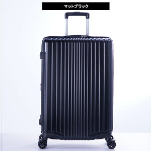 X[cP[X A.L.I AWAQ[W tBpP 5`7 71L  83L g FiL Pake y ALI-6060-24W