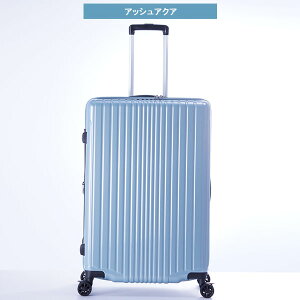 X[cP[X A.L.I AWAQ[W tBpP 10ȏ 100L  114L g FiL Pake y ^ ALI-6060-28W