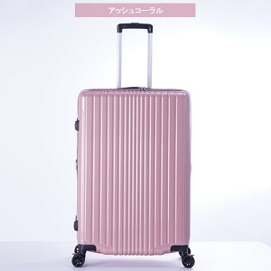 X[cP[X A.L.I AWAQ[W tBpP 10ȏ 100L  114L g FiL Pake y ^ ALI-6060-28W