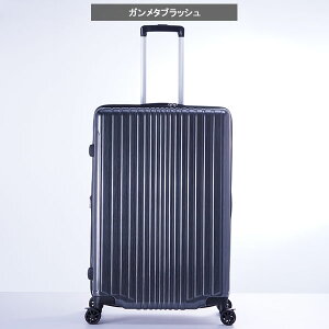 X[cP[X A.L.I AWAQ[W tBpP 10ȏ 100L  114L g FiL Pake y ^ ALI-6060-28W