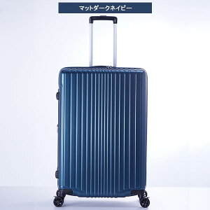 X[cP[X A.L.I AWAQ[W tBpP 10ȏ 100L  114L g FiL Pake y ^ ALI-6060-28W