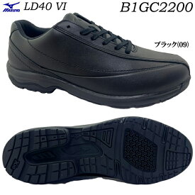 ウォーキングシューズ メンズ MIZUNO ミズノ LD40VI B1GC2200 コンフォートシューズ 靴 シューズ 幅広 3E EEE アーチサポートインソール インサイドファスナー 通気性 透湿性 耐摩耗ラバー クッション性 安定性 天然皮革 本革 散歩 旅行 トラベル 男性 紳士