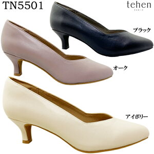 パンプス レディース tehen テーン TN5501 アーモンドトゥ Vカット ベーシックパンプス ソフト中敷 クッション性 軽量 デイリー フォーマル ビジネス 冠婚葬祭 パーティ カジュアル 女性 婦人 マ