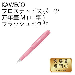 KAWECO �t���X�e�b�h�X�|�[�c ���N�M M(����) �u���b�V���s�^��