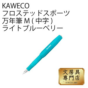 KAWECO �t���X�e�b�h�X�|�[�c ���N�M M(����) ���C�g�u���[�x���[
