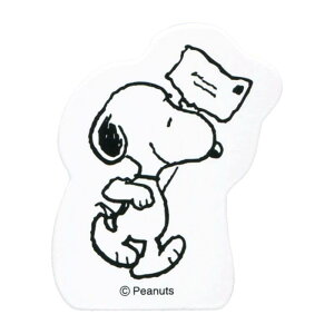 ǂ̂ Xk[s[RNVX^v 2247-009