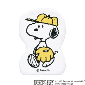 ǂ̂ Xk[s[RNVX^v 2247-019