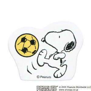 ǂ̂ Xk[s[RNVX^v 2247-021