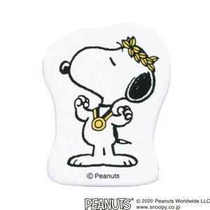 ǂ̂ Xk[s[RNVX^v 2247-022