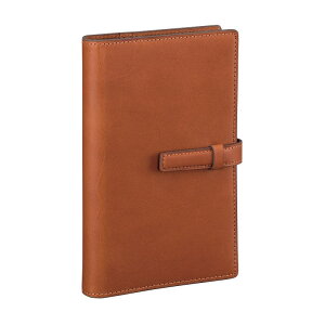 �_���B���` �I�[���A�[�X �����T�C�Y �V�X�e���蒠 �u���E��