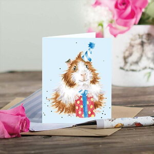 �����f�[���E�f�U�C�� Wrendale Designs Gift Enclosure Card �~�j�J�[�h 2
